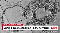 Scientists unveil "dragon" fossil