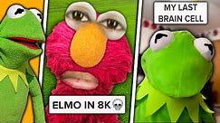 Tik Tok Memes Kermit The Frog Showed Me