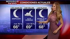 Hot Weatherwoman's Semi-Sheer Top Wins Her Fans Across The Globe - Vidéo Dailymotion
