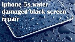 Iphone 5s water damaged black screen repair