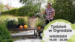 Wrzesień w ogrodzie. Kalendarz ogrodnika na 19.09 - 25.09. Prace ogrodnicze we wrześniu 2022