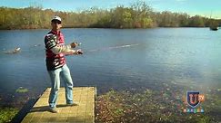 How to Set a Hook - Bass Fishing Tips for Beginners
