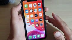 iPhone 11 Pro: How to Enable / Disable Voice Controls and Use It