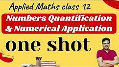 One Shot | Chapter 1 | Applied Maths Class 12 | Numbers Quantification & Numerical Application