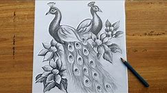 how to draw peacock step by step,easy peacock drawing for beginners,how to draw peacock,bird drawing