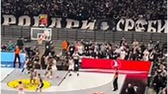 Casual Ultra - Partizan supporting their team at the...