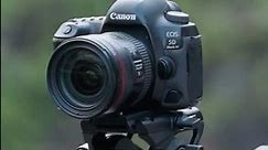 NEEWER 179cm GM76 Professional Camera Monopod With Fluid Head