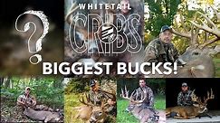 The Top Ten BIGGEST Bucks from Whitetail Cribs