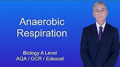 A Level Biology Revision "Anaerobic Respiration"