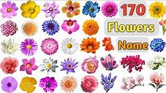 Flowers Vocabulary ll 170 Flowers Name In English With Pictures ll Names of Different Flowers