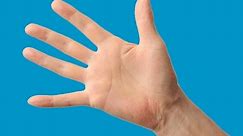 How to Use Your Hand to Measure Portion Sizes