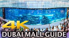 Dubai Mall Aquarium and Fountain Show 4K HD
