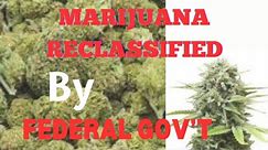 Marijuana Declassified..What Does This Mean?