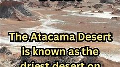 Random Fact The Atacama Desert! #shorts #atacama #randomfacts #history #facts #atacamadesert