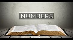 Numbers 30-31