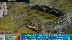 BP: Lolong, idineklata ng Guiness World Records na 'World's biggest crocodile in captivity'