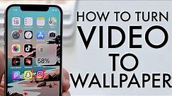 How To Set a Live / Moving Wallpaper On ANY iPhone! (2021)
