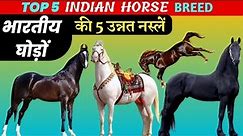 top 5 Indian horse breed || best indian horse breed || marwari horse || kathiyawadi horse