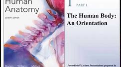 Human Anatomy Lecture- Ch 1: The Human Body