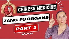 The Zang Fu Organ theory in Chinese Medicine (Part 1)