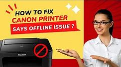 How to Fix Canon Printer Says Offline Issue? | Printer Tales