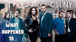 Through The Years With The Cast Of 'CSI: NY' | What Happened To