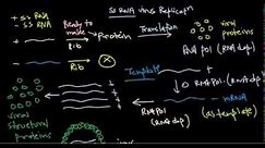 8 Replication of positive stranded RNA virus