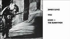 Zimbo Live by Echo and the Bunnymen 1982 WOMAD Festival