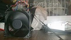 foxconn pva080g12q 12v dc brushless computer fan.