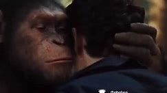 Planet of the apes meme