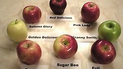 Apples 101 - About Red Delicious Apples