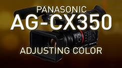 CX350 – Adjusting Color