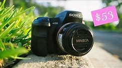 Sony A200: Photo-Walk and First Impressions in 2022
