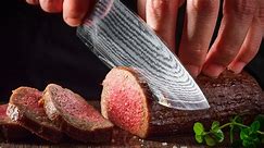 Dutch Factory Is 3D-Printing Meat from Stem Cells?