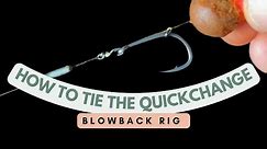 HOW TO TIE - The Quickchange Blowback Rig