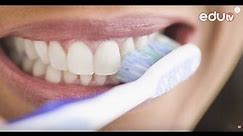 SAVETI ZA VAS Kako se pravilno peru zubi?