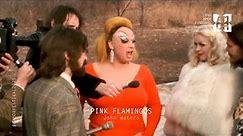 Pink Flamingos | Trailer | Rupturistas 2023