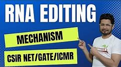 RNA editing | mRNA editing mechanism | eukaryotic rna processing | c to u