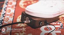 MEINL Percussion Digital Stomp Box - MPDS1 (Detail3)
