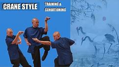 Crane Style Kung Fu - Training and Conditioning