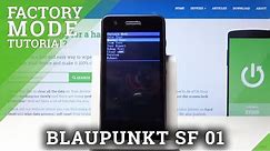 Factory Mode in BLAUPUNKT SF 01 - How to Open & Exit Hardware Test Mode