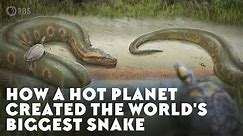 How a Hot Planet Created the World's Biggest Snake