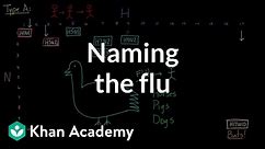Naming the flu: H-something, N-something | Infectious diseases | Health & Medicine | Khan Academy