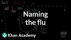 Naming the flu: H-something, N-something | Infectious diseases | Health & Medicine | Khan Academy