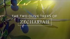 What are the two olive trees in Zechariah?