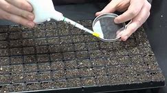 Harris Seeds - How to Use a Hand Vacuum Seeder
