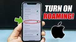 How to Turn On Roaming on iPhone 11 | Data Roaming | Cellular Roaming