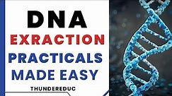 EXTRACTION OF DNA FROM A BANANA: PRACTICAL GUIDE : GRADE 12 LIFE SCIENCES BY M.SAIDI THUNDEREDUC