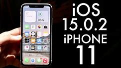 iOS 15.0.2 On iPhone 11! (Review)