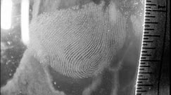 Evidence Photography - Fingerprints